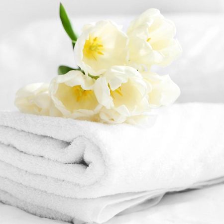 Relax Inn Bloomsburg Buitenkant foto