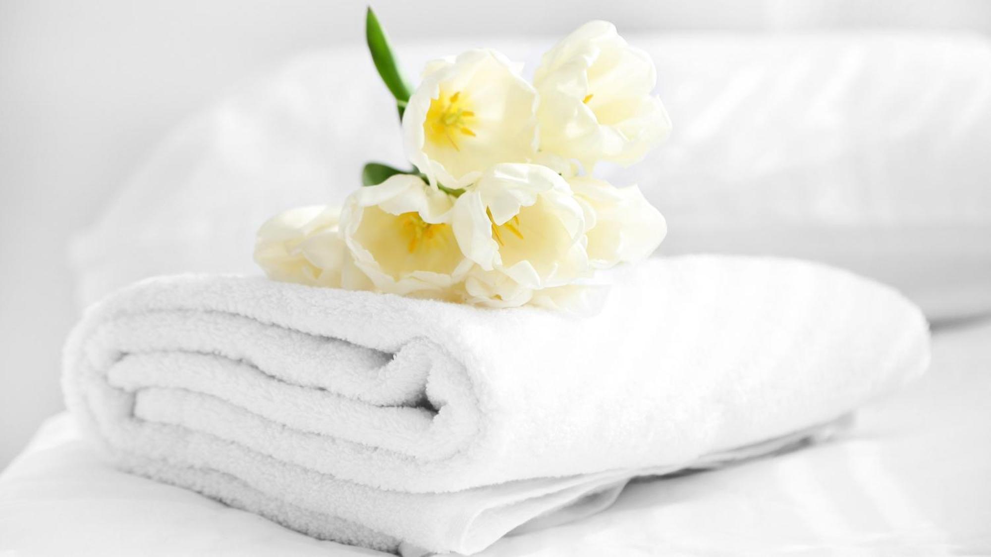 Relax Inn Bloomsburg Buitenkant foto
